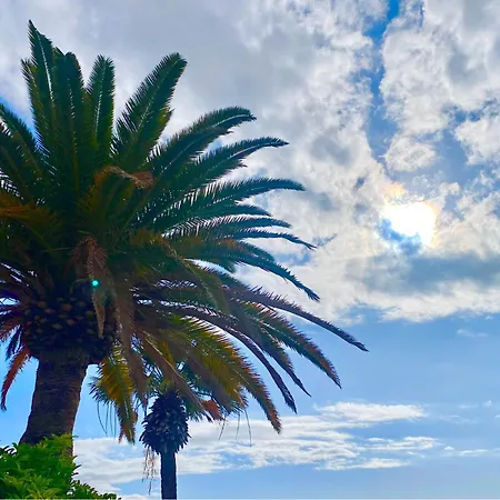 Private House With Ocean View Garden 7min To Bahia