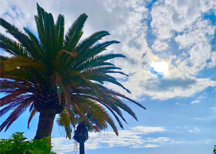 Private House With Ocean View Garden 7min To Bahia